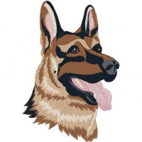 /album/galeria-de-fotos-contate-nos1/e905413-jpg/