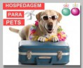 /album/galeria-de-fotos-canil-meister-der-ber/day-care-cachorro-jpg1/