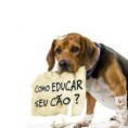 /album/galeria-de-fotos-canil-meister-der-ber/a5800-erica-porto-adestradora-jpg/