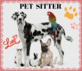 /album/galeria-de-fotos-canil-meister-der-ber/pet-friendly-burglar-alarms-southend-jpg/